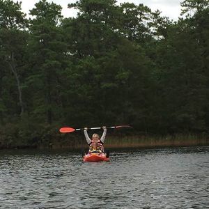 Meet your Posher, Judy